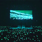 SHINee Lightstick Ocean