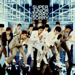 Sorry sorry super junior