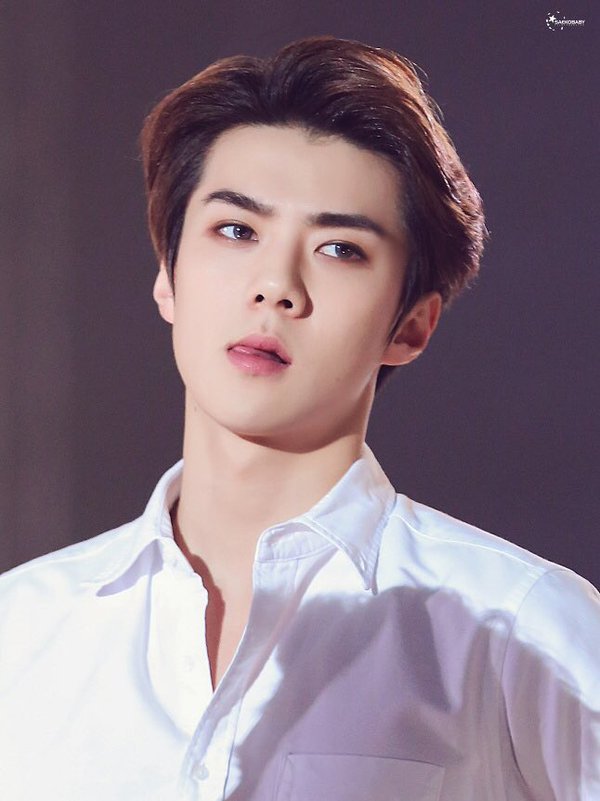 Hasil gambar untuk sehun exo  